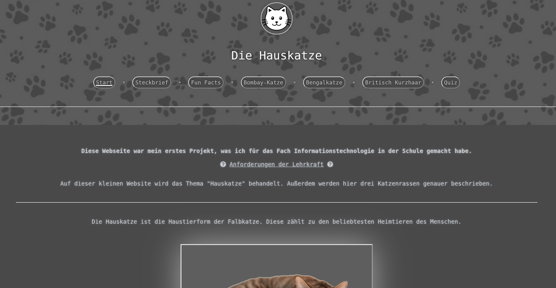 Webentwicklung Start